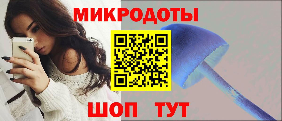 Галлюциногенные грибы MAGIC MUSHROOMS  Вход с VPN  Унеча 